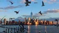 Inflation and Stock Bubble: 2 Big Risks from Economist Steve Hanke