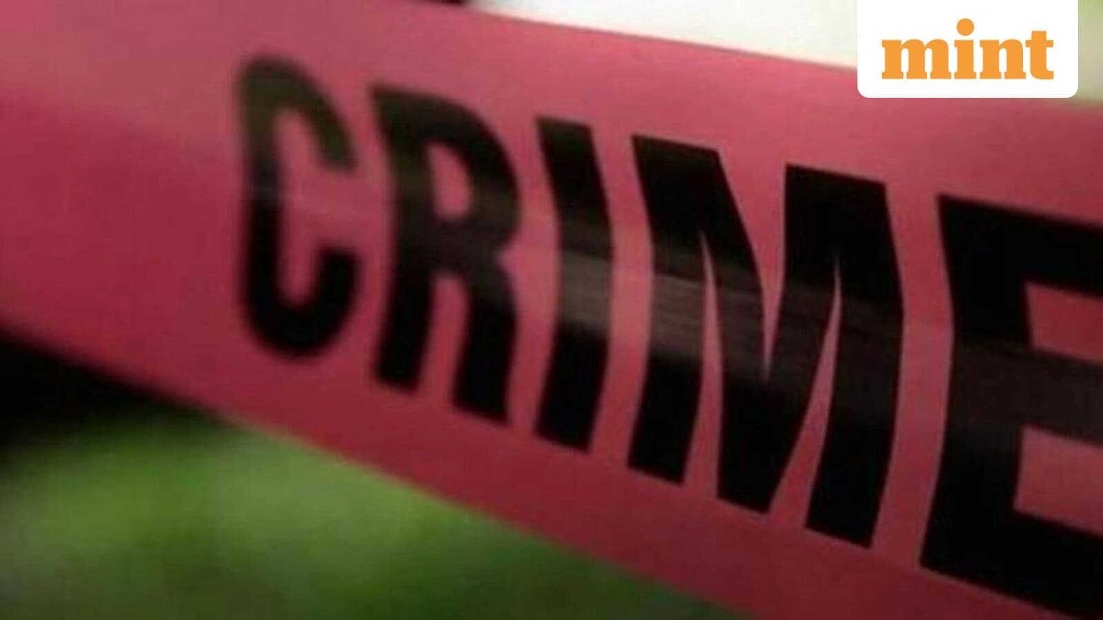 Hyderabad Murder: Ex-Husband Stabs 29-Year-Old Techie Over Domestic Violence Case