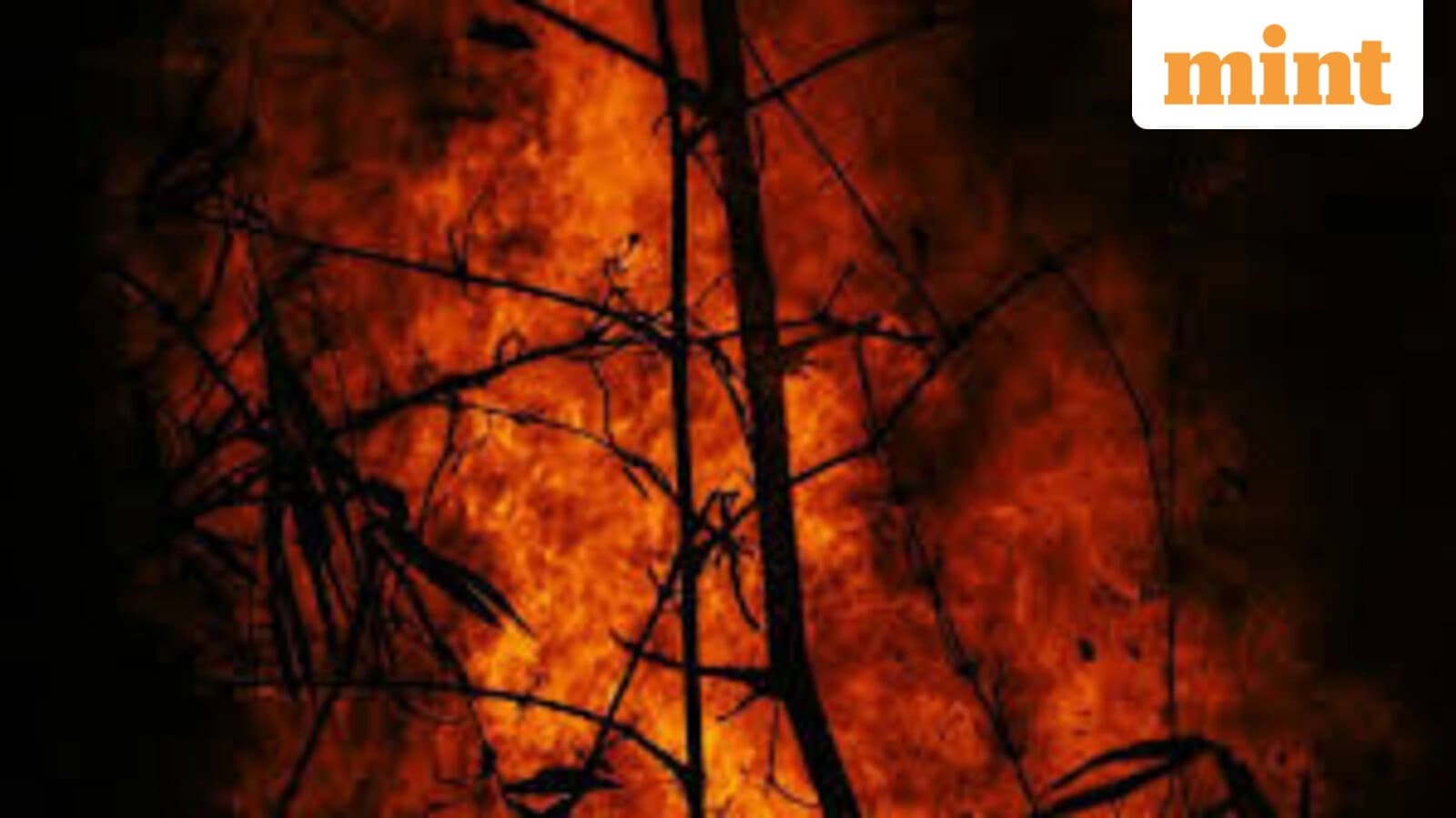 Oklahoma Wildfires Scorch 15,000 Acres; Thousands Evacuate Amid Severe Fire Weather